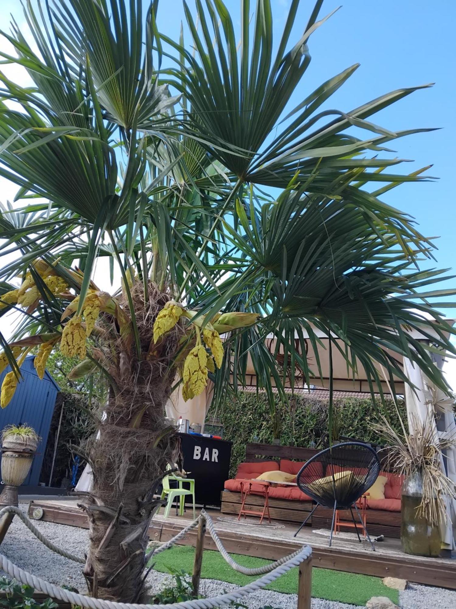 Maison Jardin Est Parking Apartment